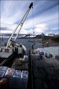 M/S Lofoten